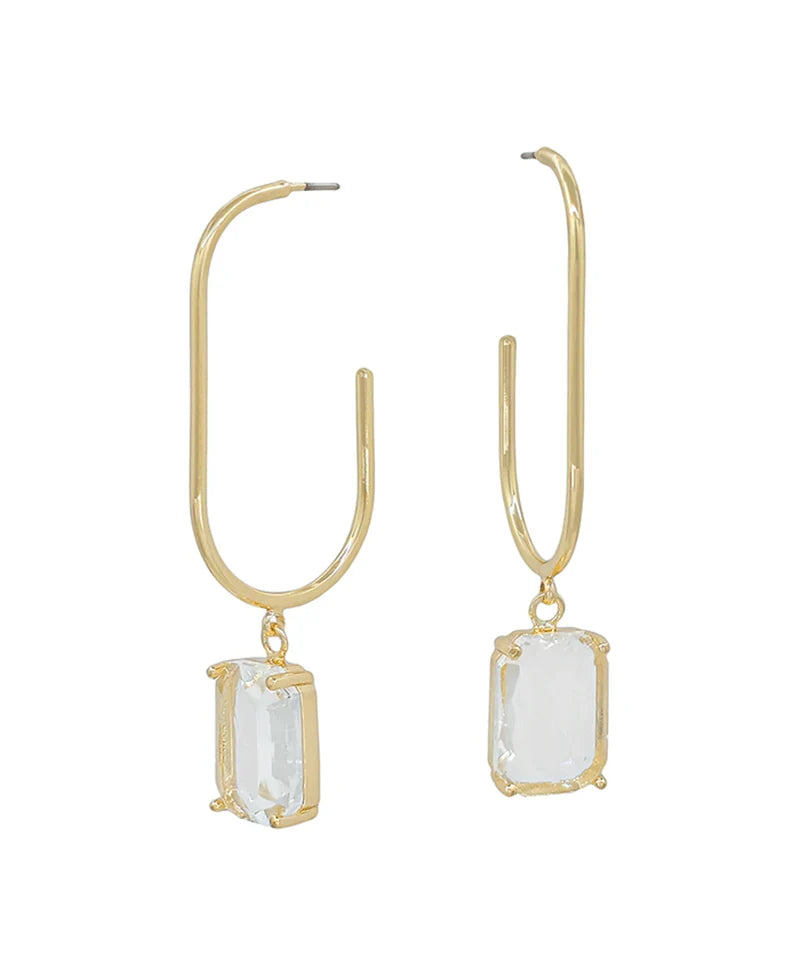 Large Dangle Earrings